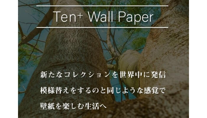 Ten＋(テンプラス)で後払い現金化しても大丈夫？口コミをもとに解説！